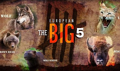Big van Europa